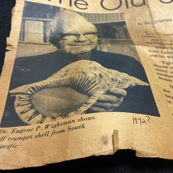 Rare XL Vintage Florida SEA SHELL. HISTORY ARTICLE TOO HELMET SHELL OLD !!! - Picture 8 of 11